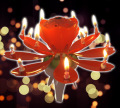 Muzik Chrysanthemum baru Tmn lilin harijadi