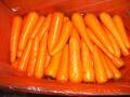 Saiz besar Shandong Carrot