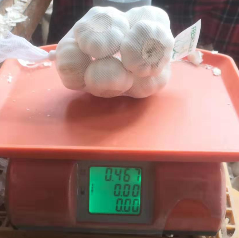 China pure white garlic factory sale, new crop fresh garlic export 2021