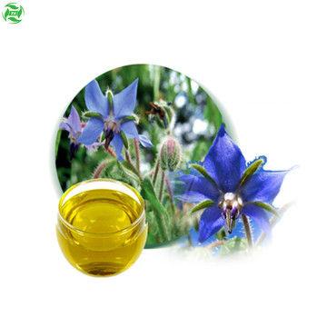 Provite Borage Oil Hand Soap Cosmetic Skin Care