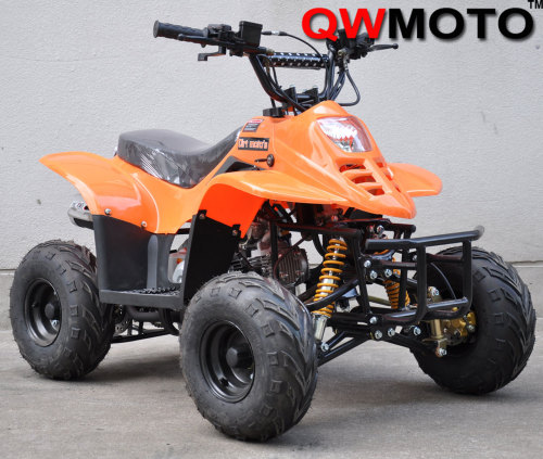 110CC ATV/Kids ATV/110CC Quad Bike/Emergency Switch