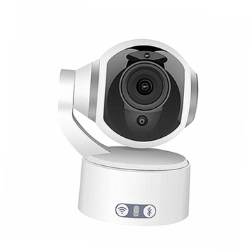 Security Wireless Network Camera with Motion Sensor