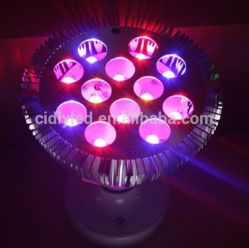 36Watts Par38 Growspot LED lights 12x3W Spot Grow Lighting