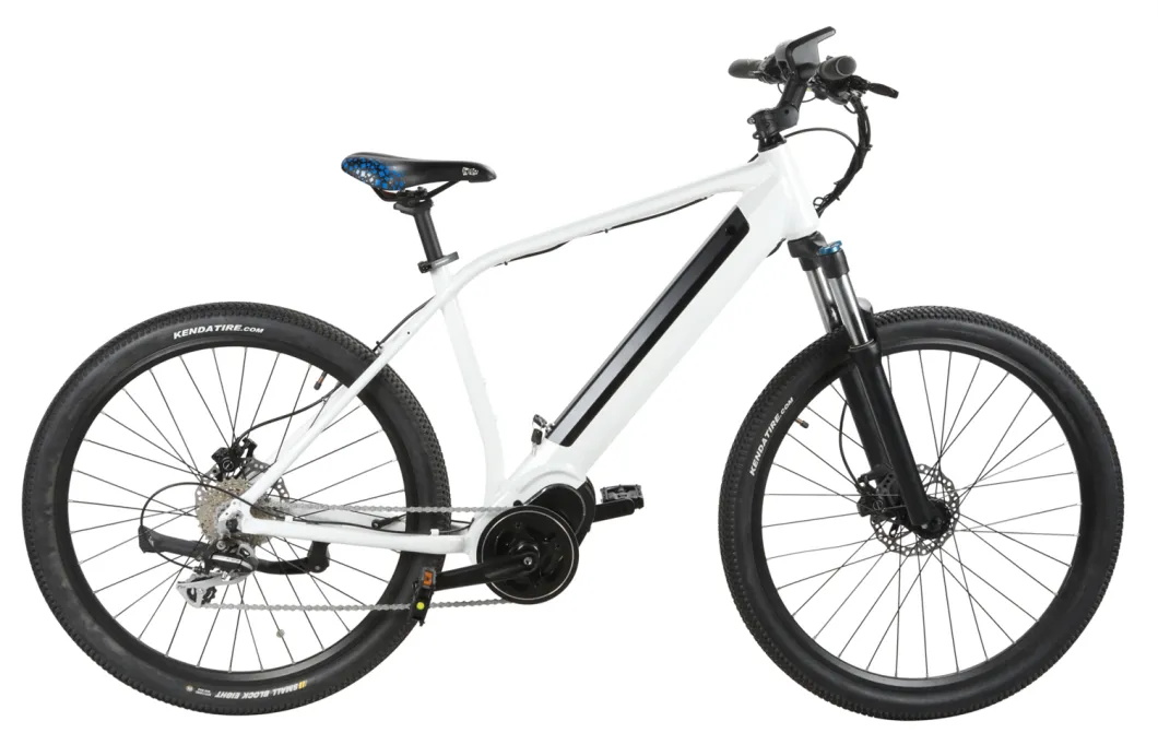 Lithium Battery Operated Electric Road Bicycles/ Green Powered E Bike for Sale