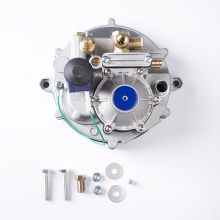 Professional CNG Conversion Kit: TA98 Reducer & High Pressure Regulator for Auto Gas Vehicles