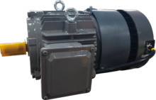 Three Phase Permanent Magnet Motor