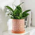 2 Pack Terracotta Plant Pot