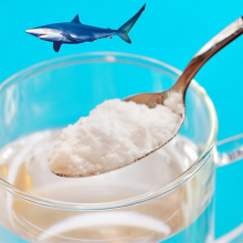 Shark Cartilage Pharmaceutical Grade Chondroitin Sulfate