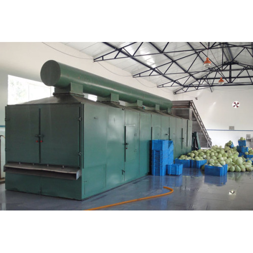 Conveyor Belt Drying Machine