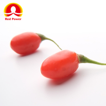 Red Power QIZITO the fruit of chinese wolfberry high quality heigouqi organic wolfberry fruit of wolfberry
