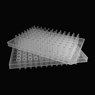 0.2ml Clear Semi-Falda Placas PCR