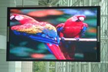 SMD led Strip Screen