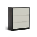 File Cabinets with Locking Drawers File Storage Drawers