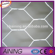 1/4" chicken wire/Hot Dipped Chicken Wire/chicken coop wire fencing