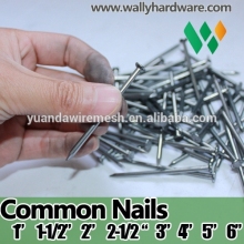 Clavos Dulce De 2 X 12 Empaque De Presentacion 1/2 Kilo                        
                                                Quality Choice