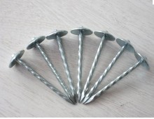 umbrella roofing nails (twisted shank nails)