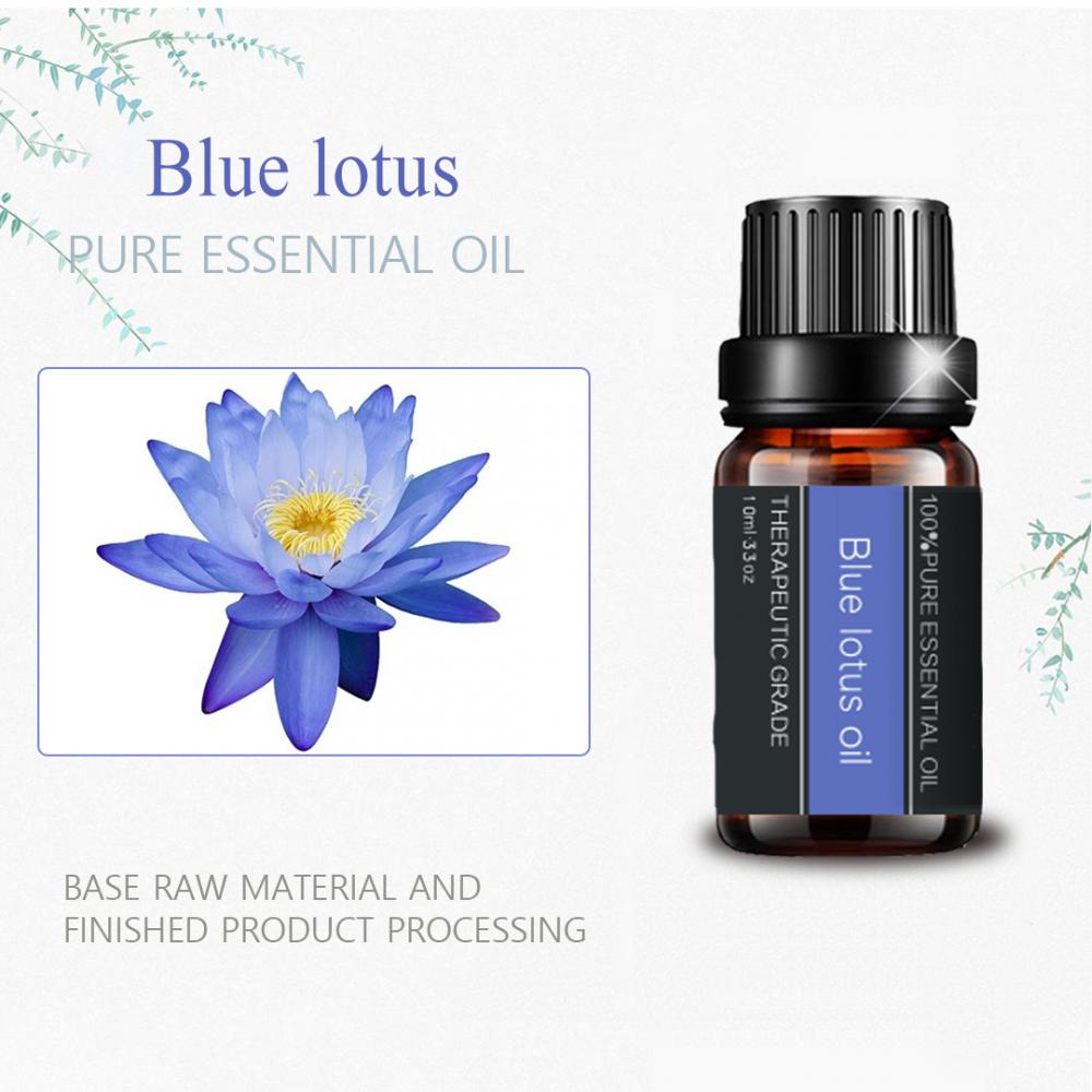 Minyak Esensial Lotus Biru Organik Alami Untuk Perawatan Kesesuaian