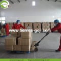 Factory Wholesale Super Food Nutrition Malaysia Goji bär