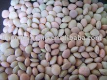 Chinese Lentil