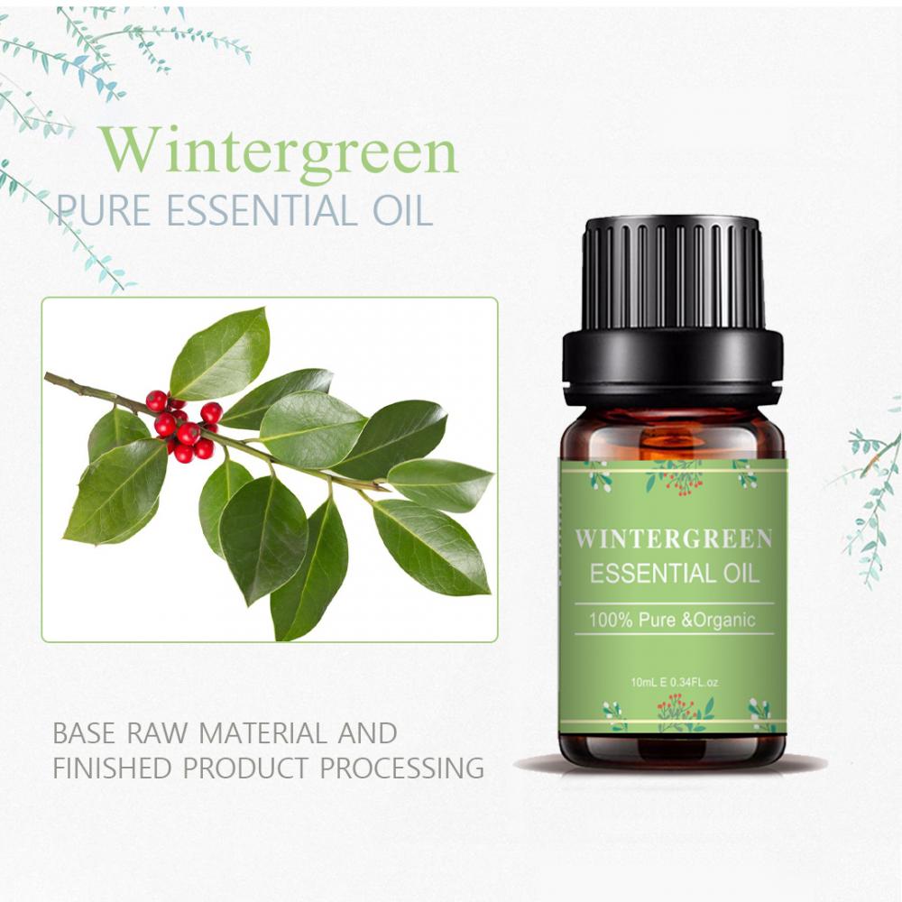 두통을위한 순수한 자연 식물 Wintergreen Essencial Oil