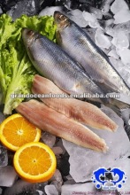 frozen fish herring fillet seafood