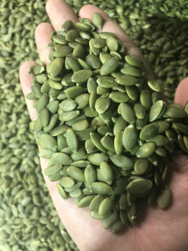 High Quality Organic Pumpkin Kernel
