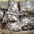 Wysokiej jakości odwodnione grzyby shiitake