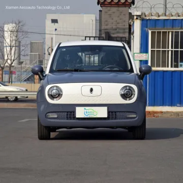 New Small Mini Electric Vehicles Cars