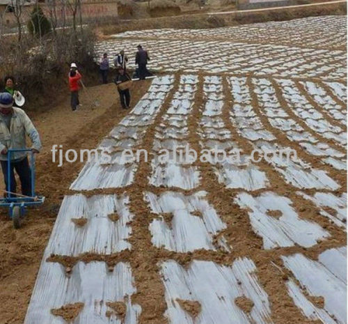 Hot sale silver black agricultural mulching film