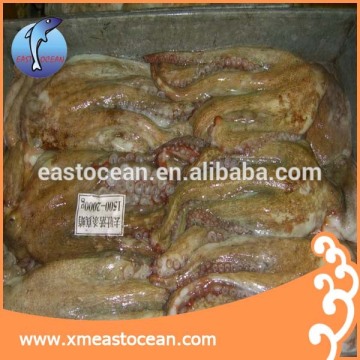 Raw material of octopus