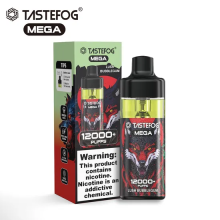 Tastefog Mega 12000 Puffs Vapes