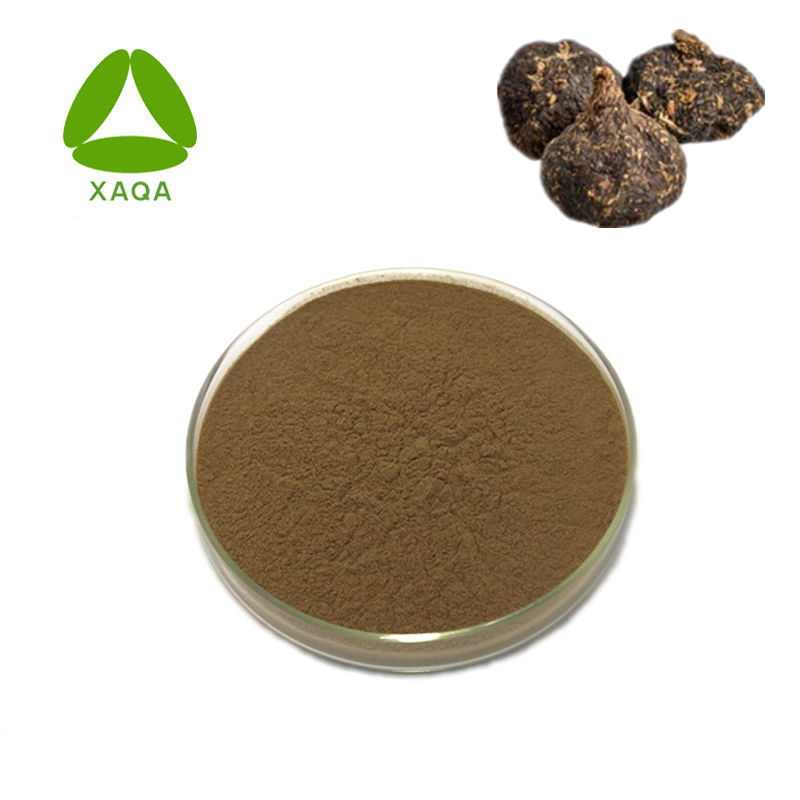 Black Maca Root Extract Powder