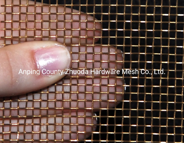 Amazon Ebay Hot Sale Phosphor Bronze Wire Mesh Made in China