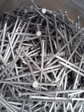 Square boat nail/ Real factory/Competitive pric