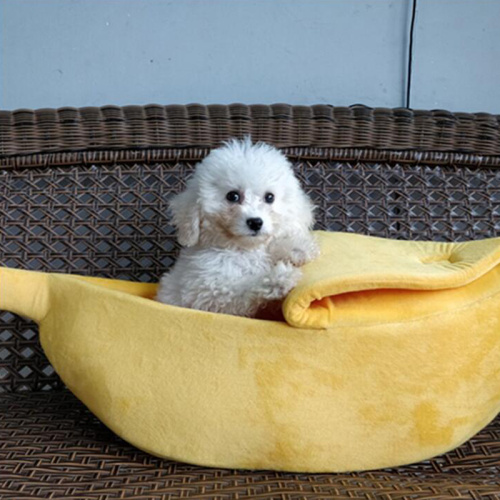 Chenil créatif en forme de banane hiver chaud pour animaux de compagnie