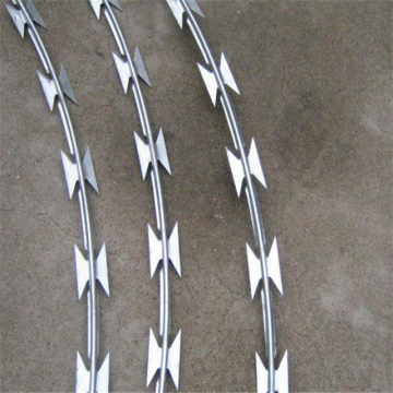 High Quality Galvanized razor barbed wire for sale