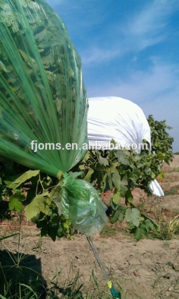 Plastic vine covers for vine growers