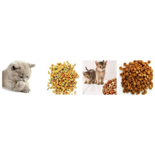 Cat Food Processing Line Cat Feed machines