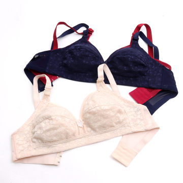 Hot New High-Quality Full Coverage Romantic Plus-Size Sheer Lace Bra