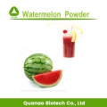Gefriergetrocknetes Wassermelonenfruchtpulver