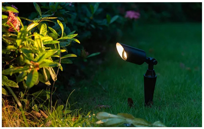 LED Spike Lights for Bamboo Forest