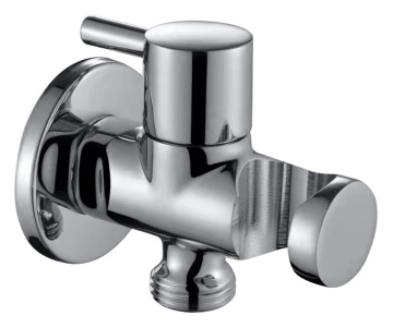 Polished Compression Angle Valve