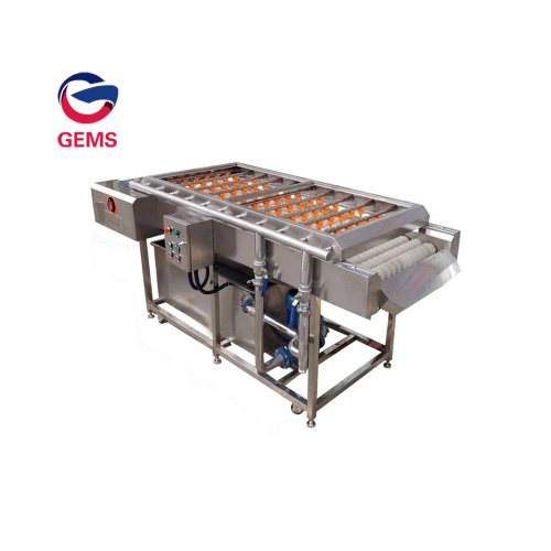 Vegetable Washer Machine Line Citrus Tomato Washer Machine