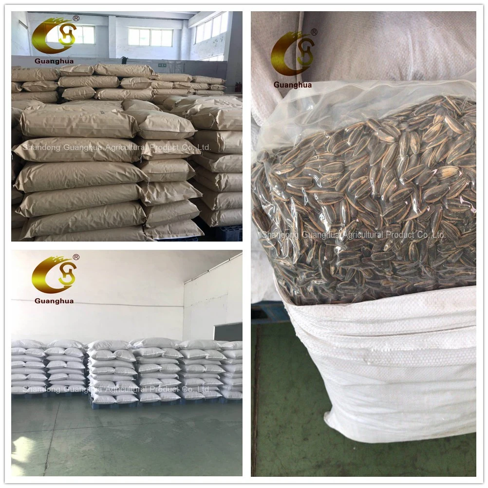 Caramel Flavor Roasted Sunflower Seeds for Sale Bulk Price