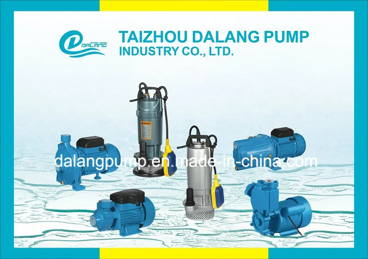 Qdx1.5-17-0.37f Shimige Typee Electric Submersible Water Pump for Agriculture Use