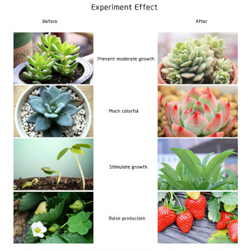 Full Spectrum Best LED Grow Light para interiores