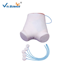 Abdominal Puncture  Nursing Training Model