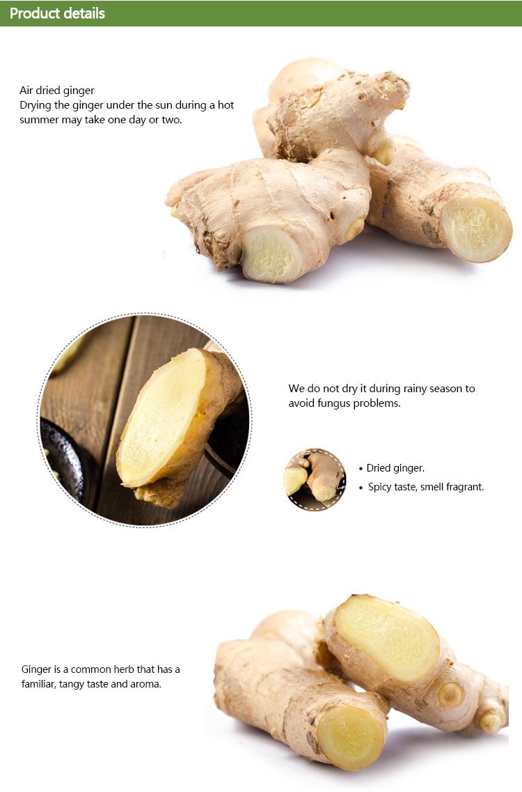 2020 China air dried ginger wholesale price