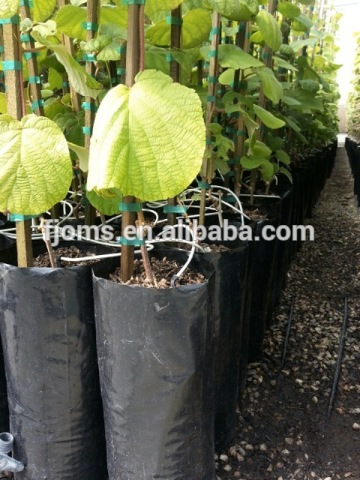 Polyethylene nursery planting bags with standard size