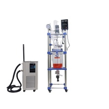 Double Jacketed Glass Reactor 10L - Chemical Glass Reactor